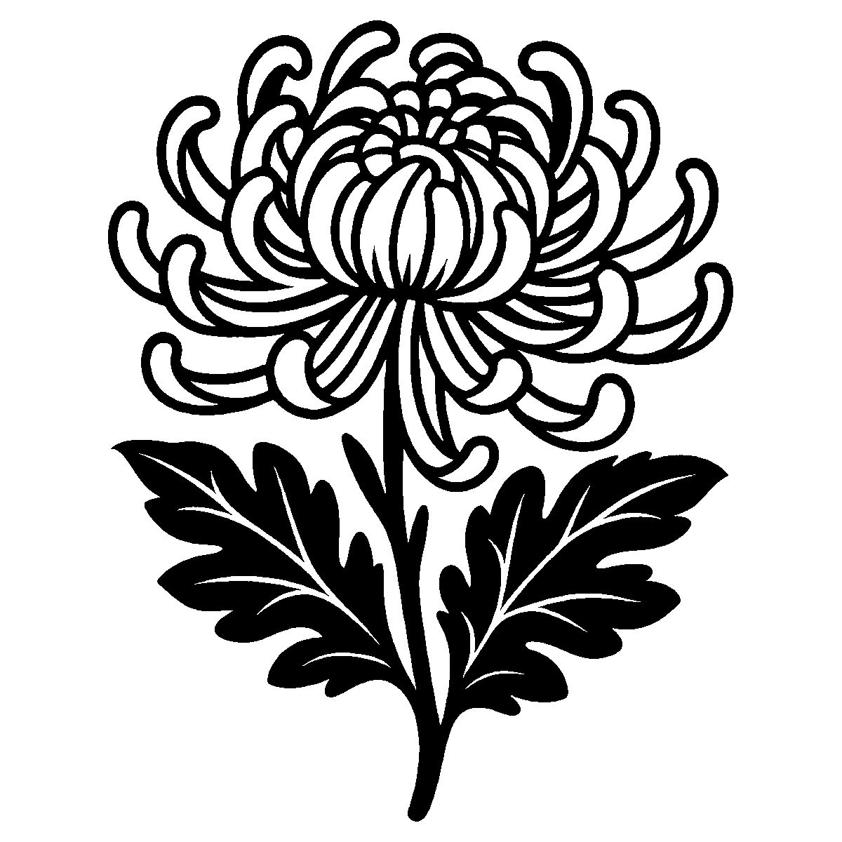Chrysanthemum Bloom Clipart SVG free download for Cricut, Silhouette and design projects