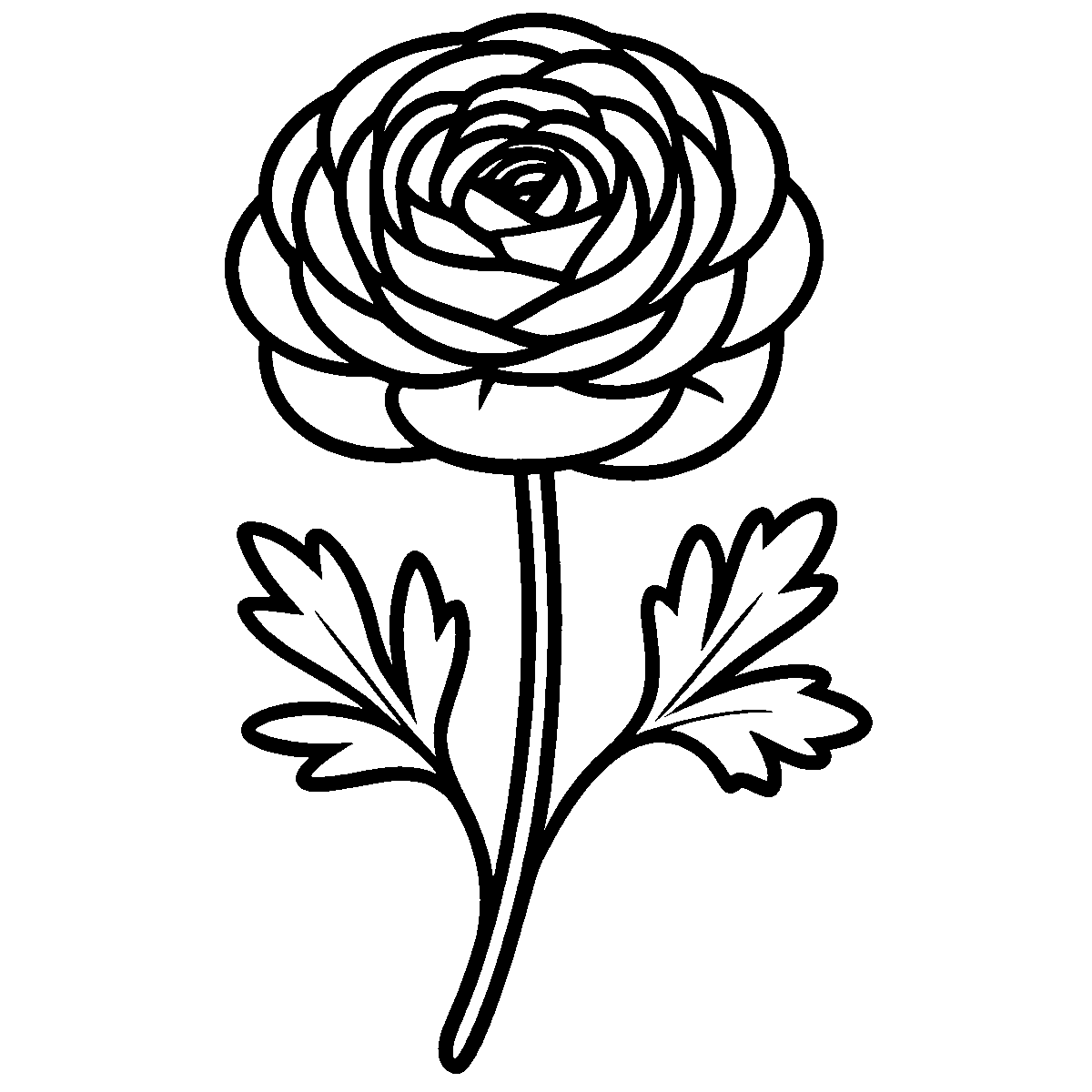 Ranunculus Flower Clipart SVG free download for Cricut, Silhouette and design projects