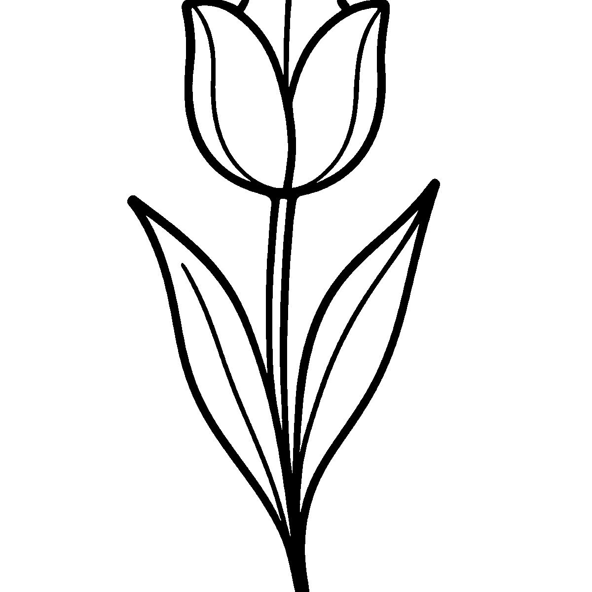 Elegant Tulip Illustration SVG free download for Cricut, Silhouette and design projects