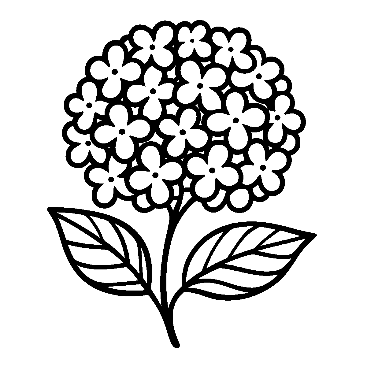 Hydrangea Flower Clipart SVG free download for Cricut, Silhouette and design projects
