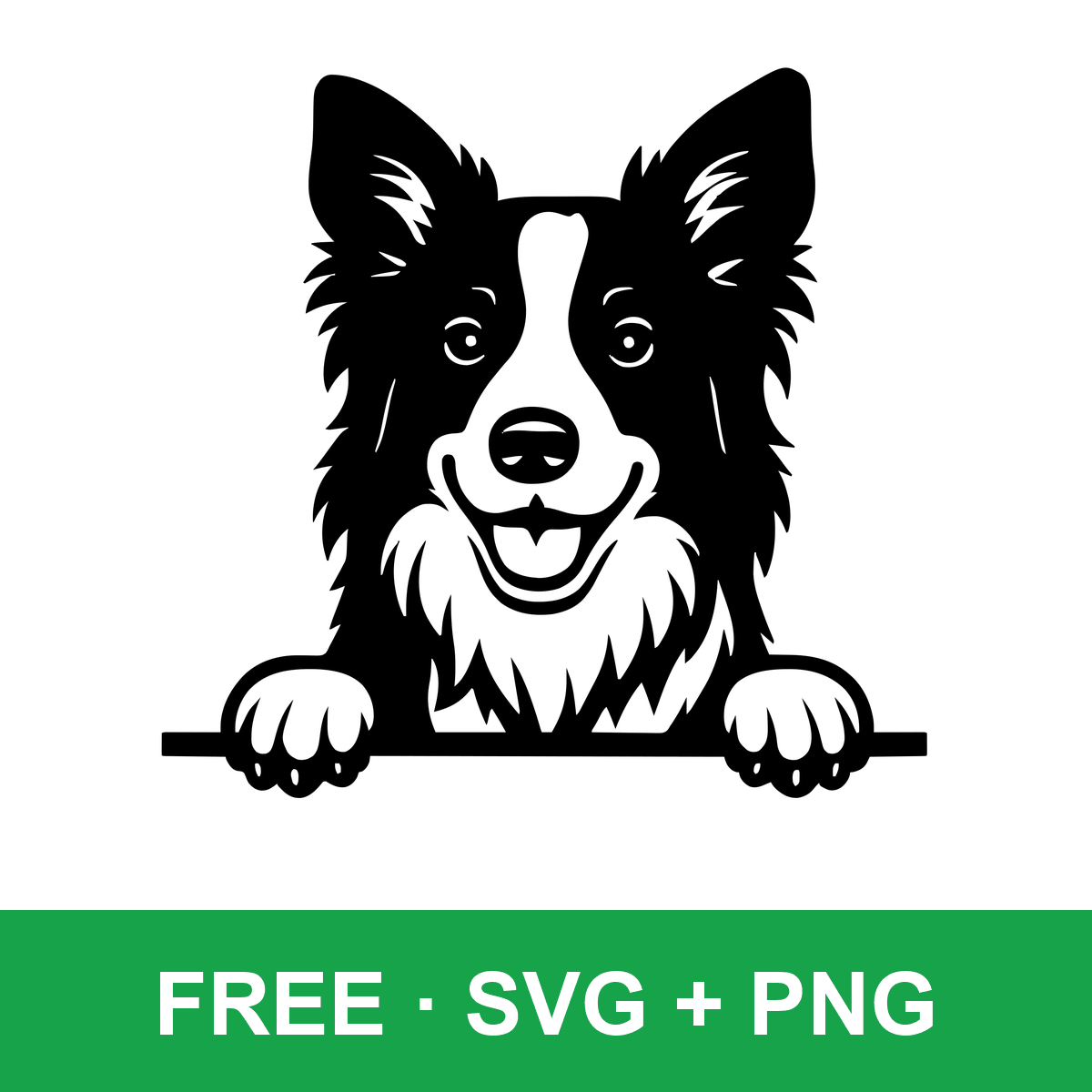 Peeking Border Collie free SVG cut file for Cricut and Silhouette