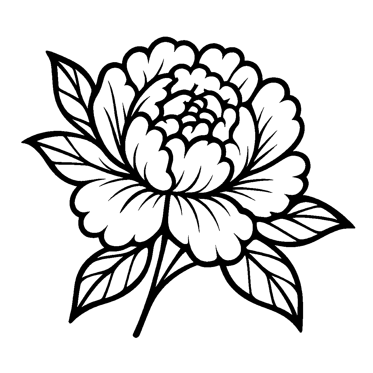 Peony Flower Clipart SVG free download for Cricut, Silhouette and design projects