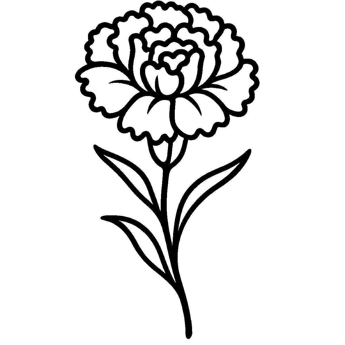 Ruffled Carnation Bloom SVG free download for Cricut, Silhouette and design projects